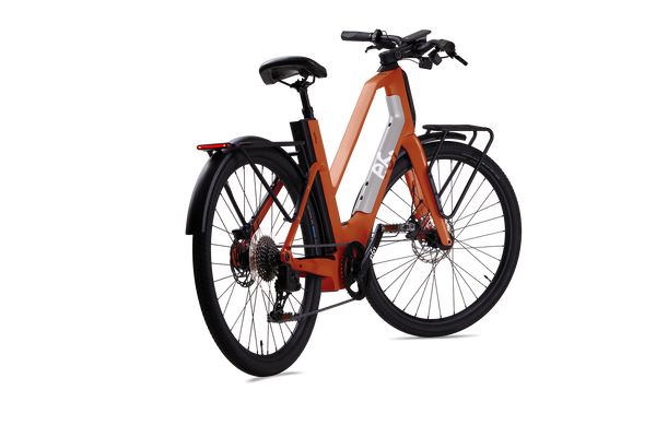 AGILE urban-Carbon Fiber