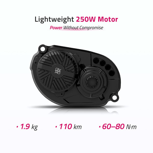 Panorama-Carbon Fiber | Y-Shape Suspension E-Bike