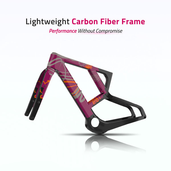 Panorama-Carbon Fiber | Y-Shape Suspension E-Bike